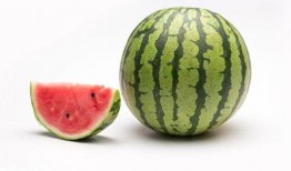 吃瓜网官网 51热门大瓜今日大瓜,今日大瓜盘点，精彩瞬间不容错过